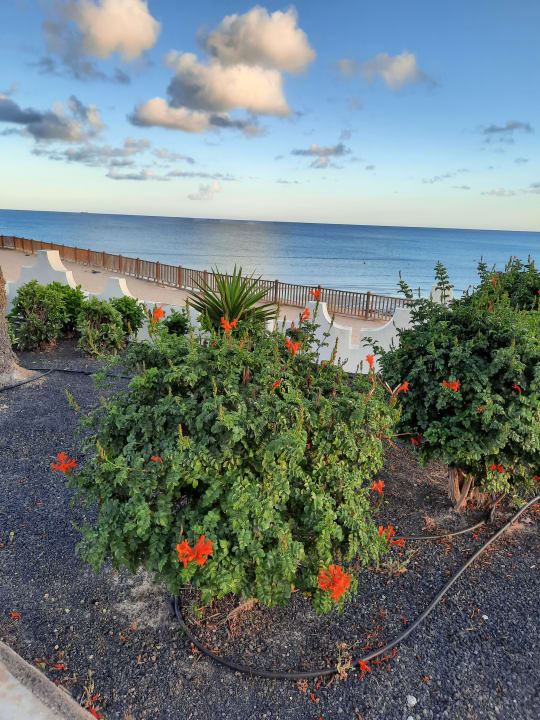 Gartenanlage SBH Costa Calma Beach Resort