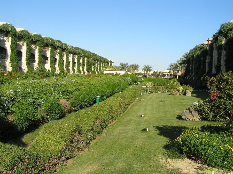 Pohled od moře Prima Life Makadi Resort