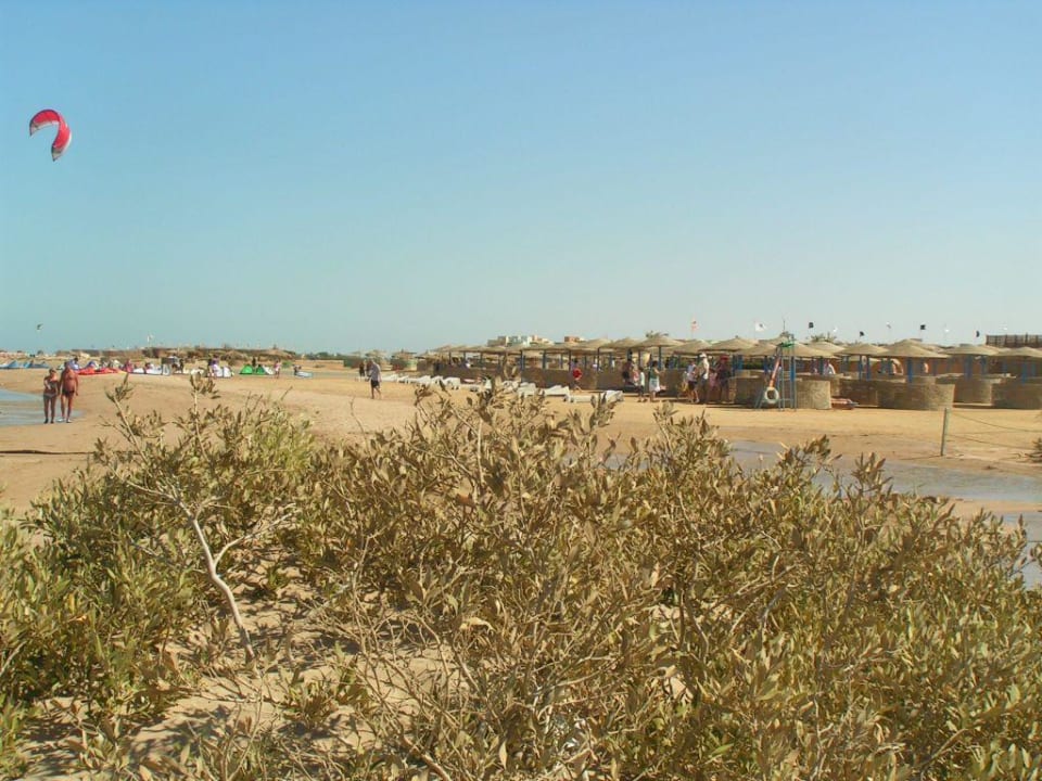 Hoteleigener Strand am Mangroovy Beach Hotel Three Corners Ocean View prestige - Adults only