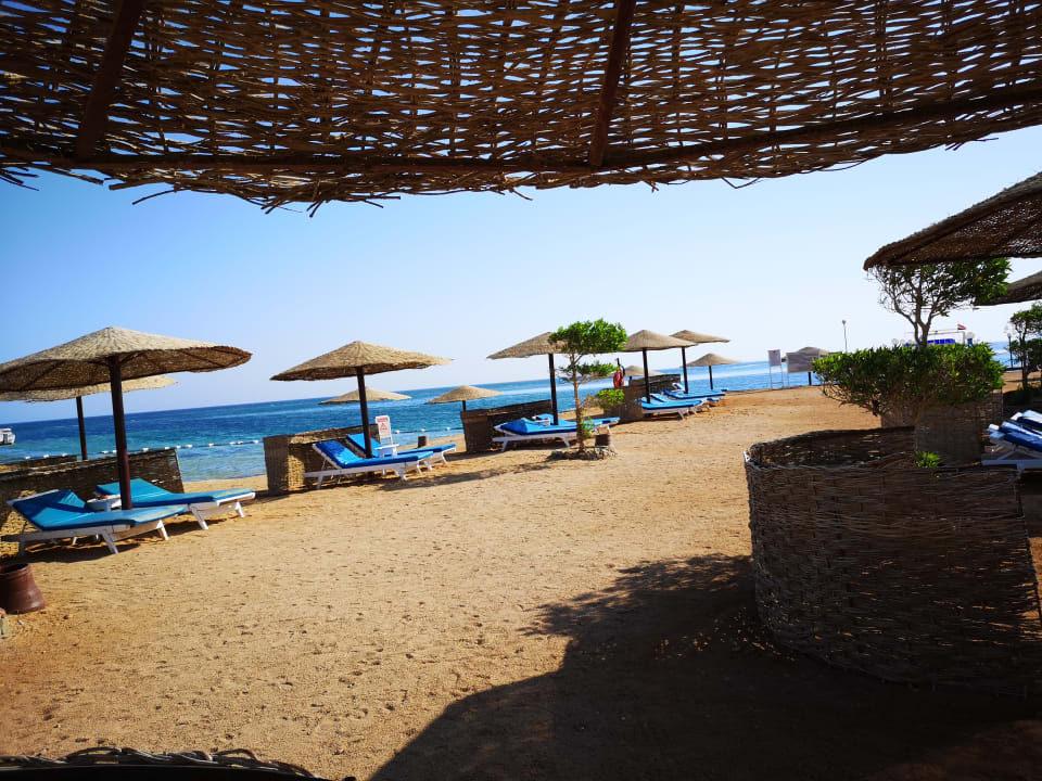 Strand Sea Star Beau Rivage