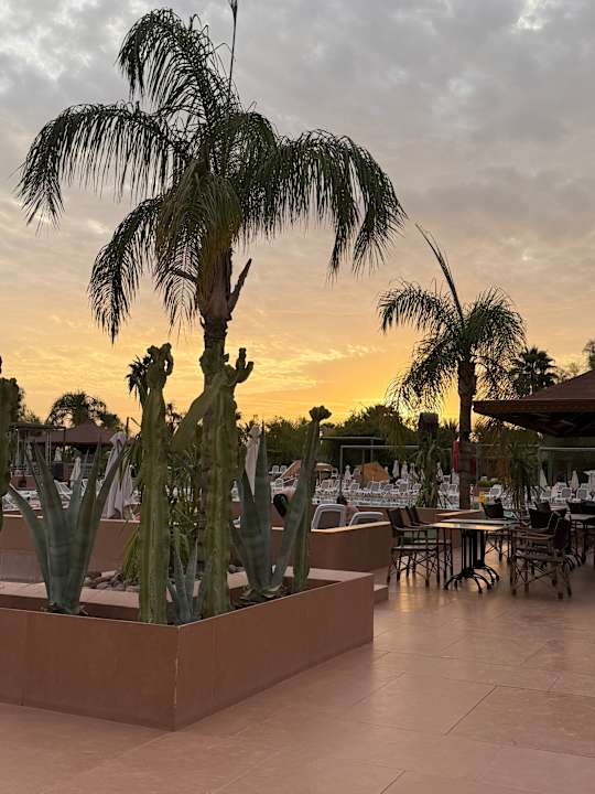 Gastro Hotel Riu Tikida Palmeraie