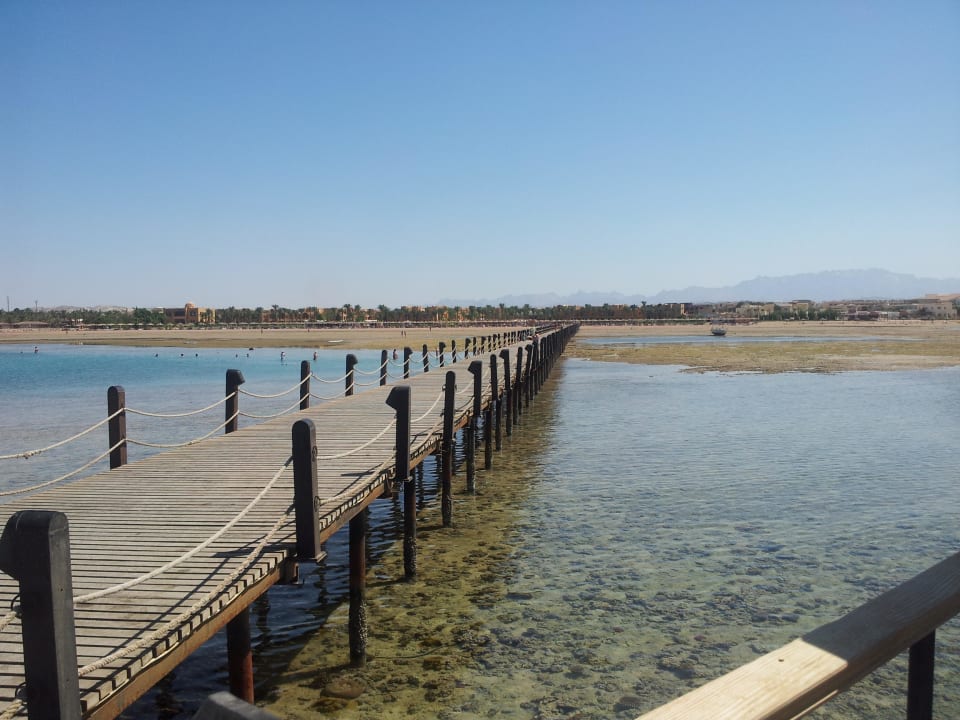 Blick in Richtung Hotel bei Ebbe Stella Beach Resort & Spa Makadi Bay