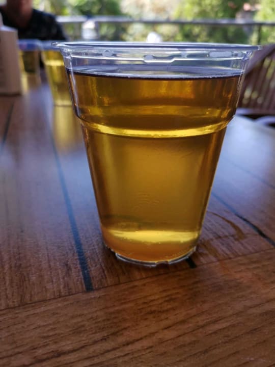 Gastro Starlight Resort Hotel