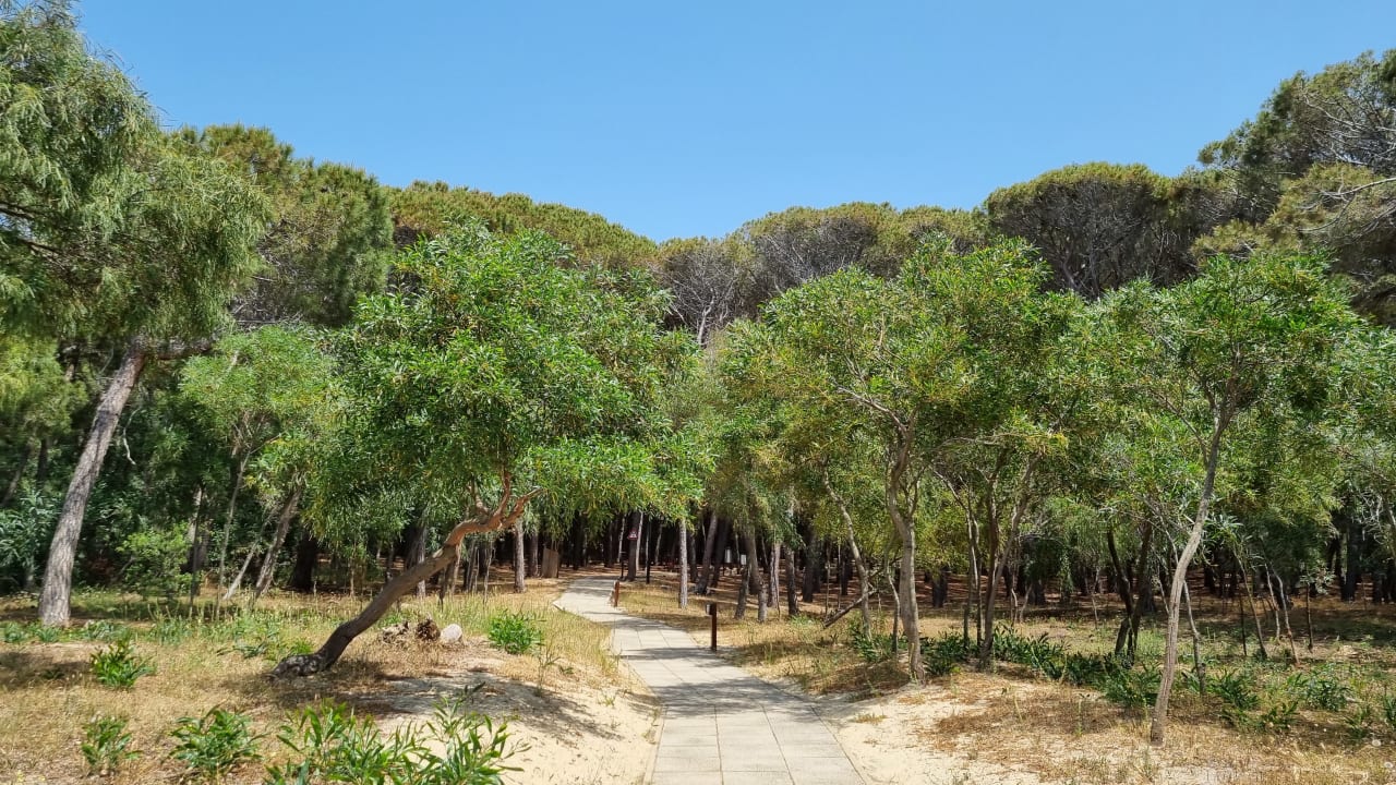 Sonstiges TUI MAGIC LIFE Calabria