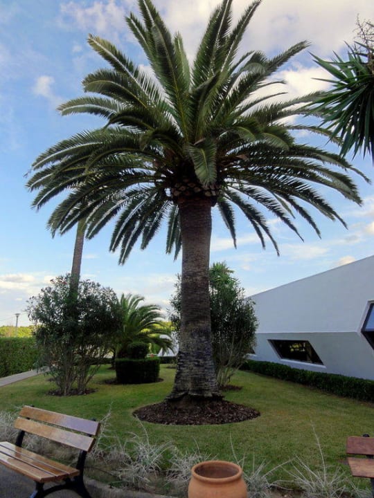 Der Eingangsbereich Hotel Exagon Park