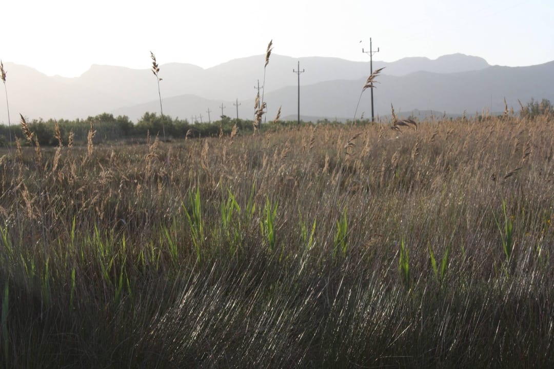 Naturschutzgebiet hinter dem Ressort PortBlue Club Pollentia Resort & Spa