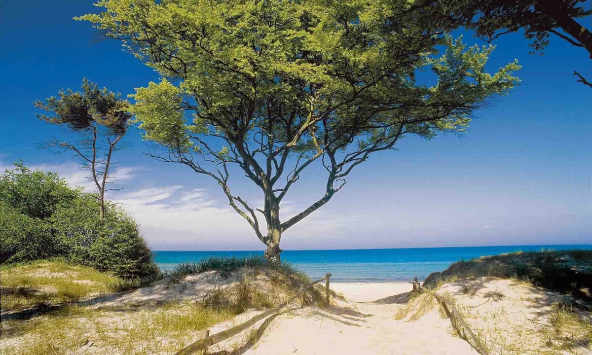 Weg vom Hotel zum Strand Strandhotel Fischland