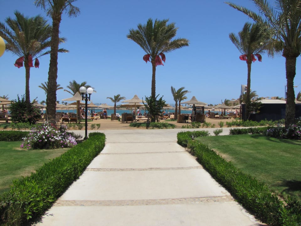 Gleich ist man am Strand Desert Rose