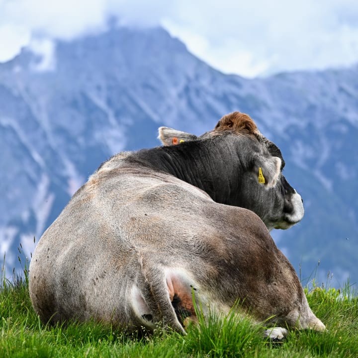 Sport & Freizeit Biohotel Rupertus