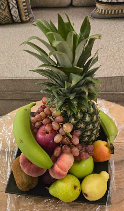 Zimmer JAZ Elite Asteria