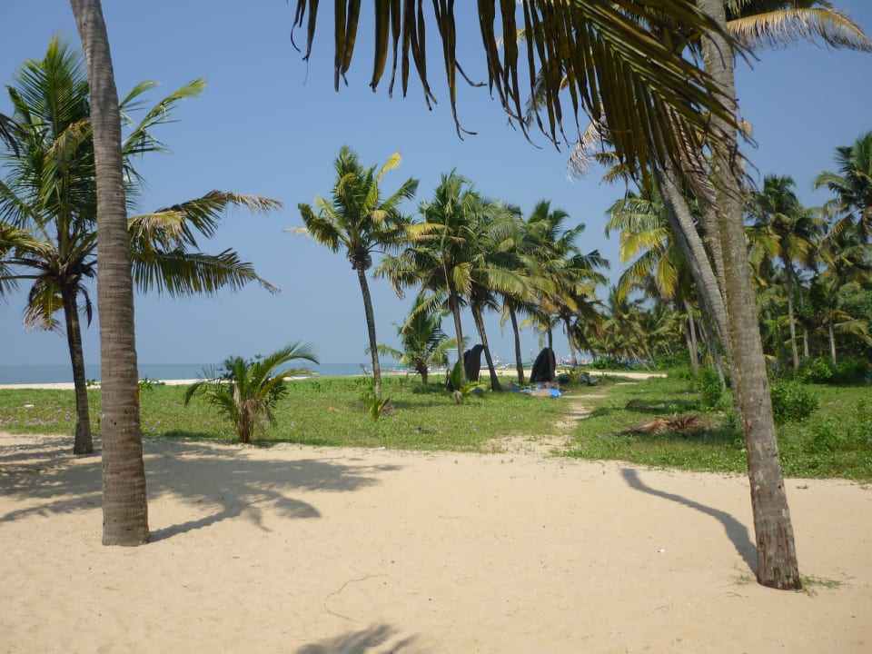 Strand Hotel Abad Turtle Beach