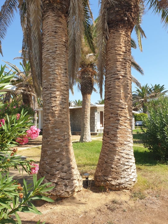 Gartenanlage Civitel Creta Beach