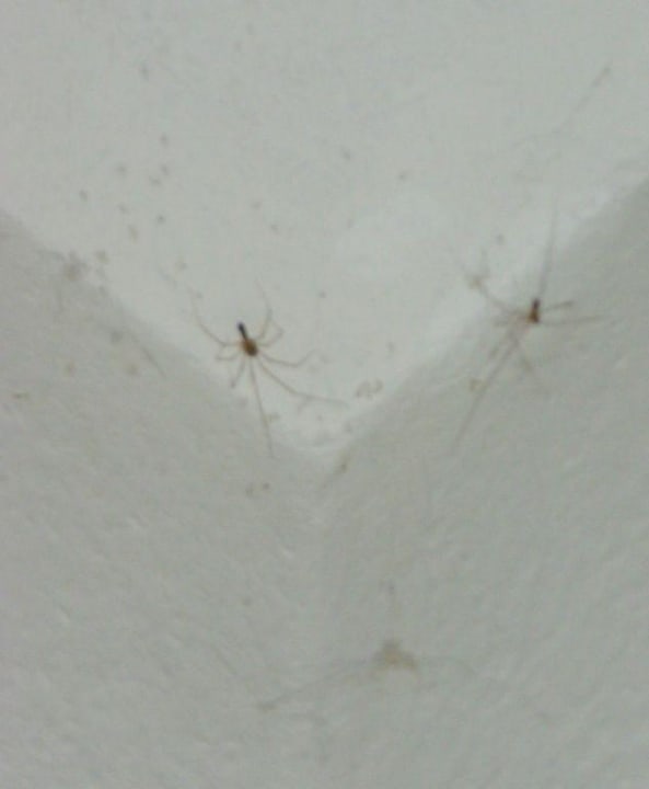 Zimmerdecke Hotel Zur Post