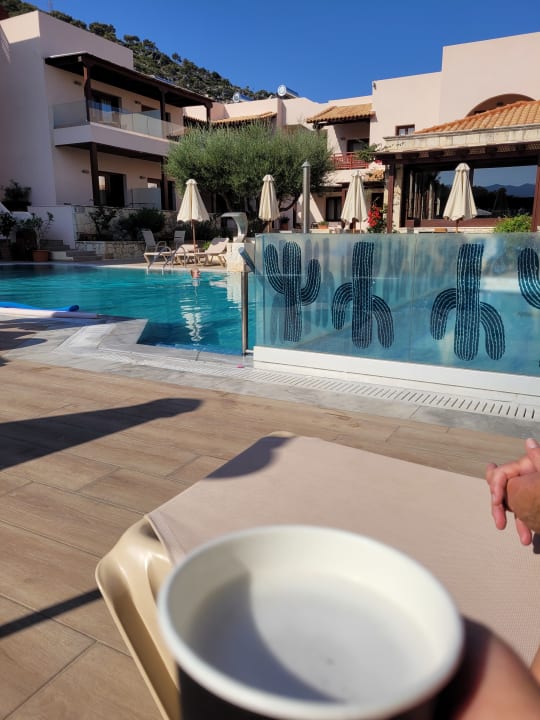 Pool Hotel Cactus Village