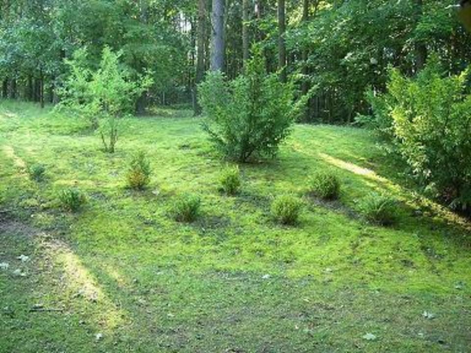 Blick von der Terrasse Hotel Mercure Mrągowo Resort & Spa