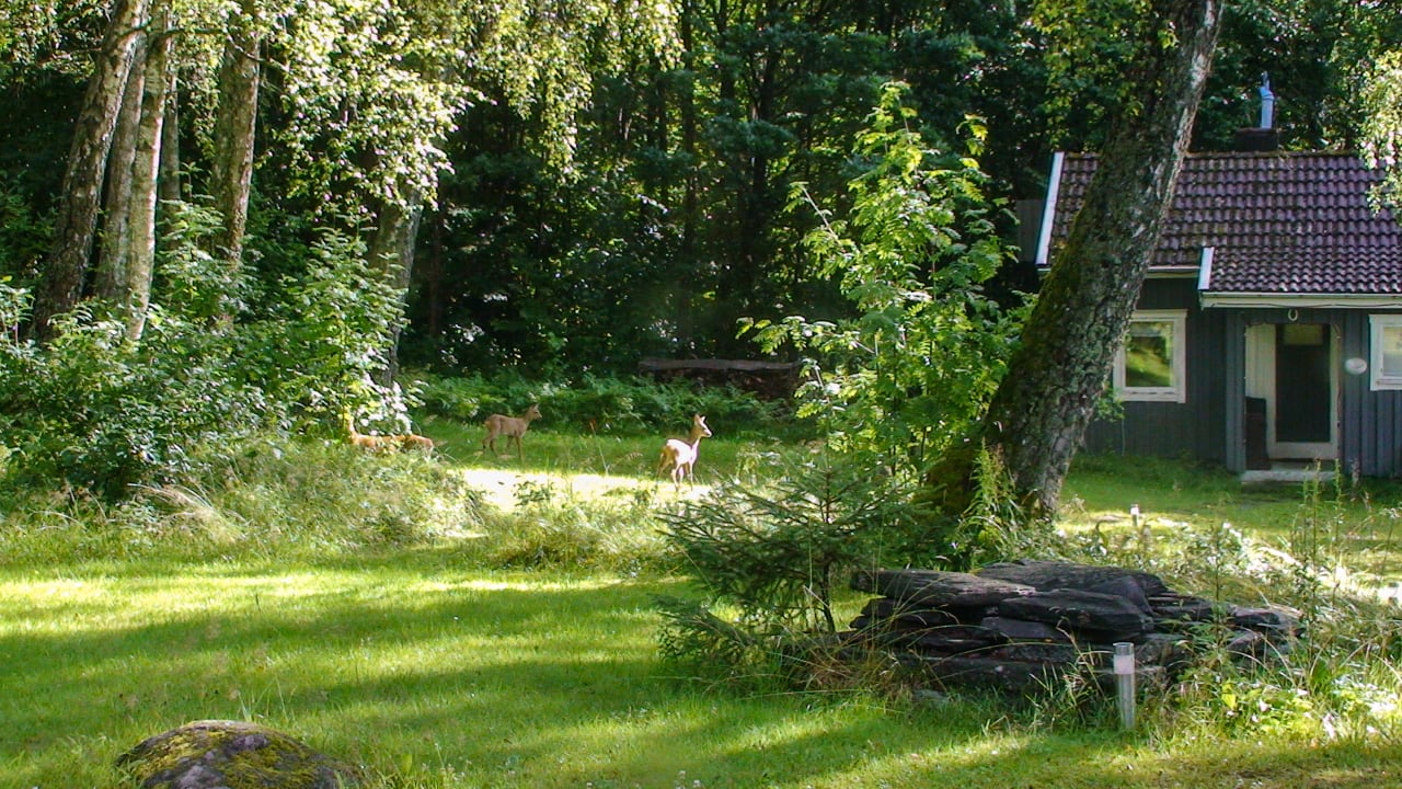 Gartenanlage Évika boutique hotel