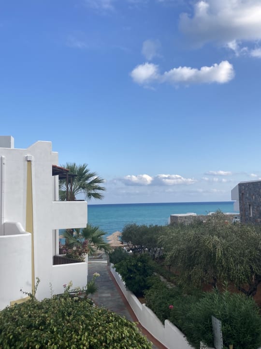 Ausblick Alexander Beach Hotel & Village Resort