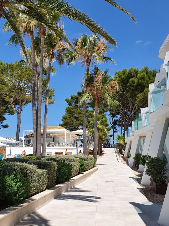 Sonstiges Iberostar Waves Playa de Muro