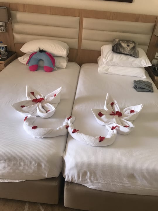 Zimmer Pickalbatros Aqua Vista Resort - Hurghada