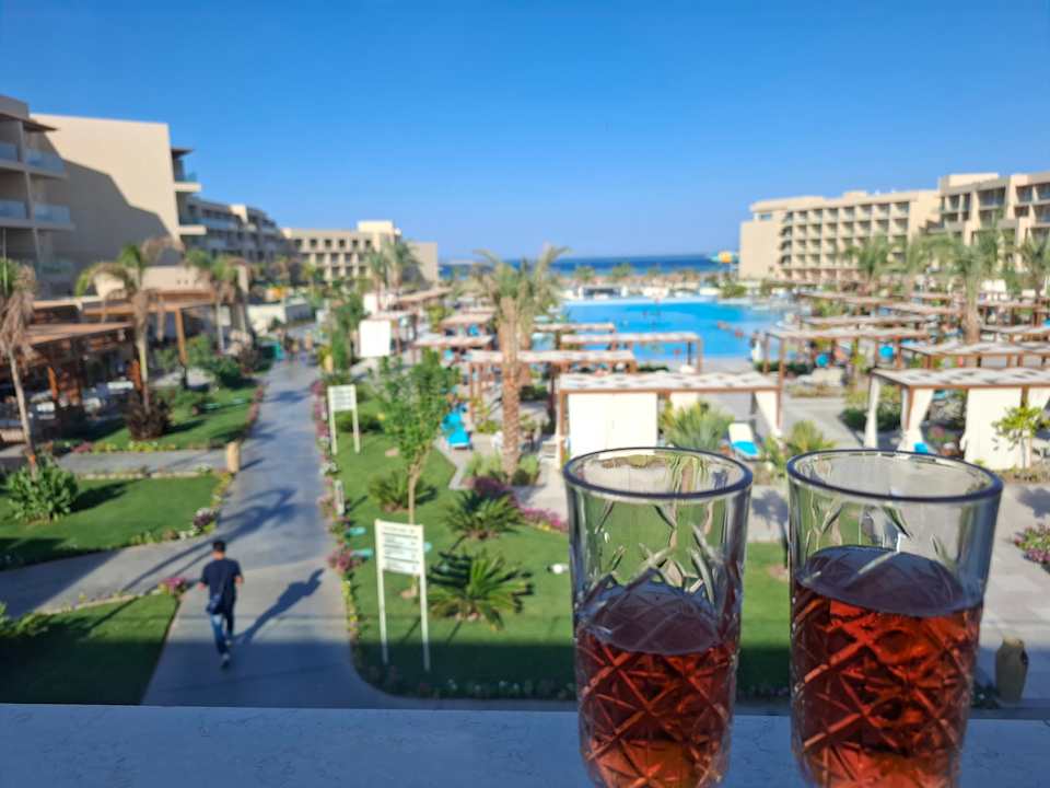 Zimmer JAZ Elite Asteria