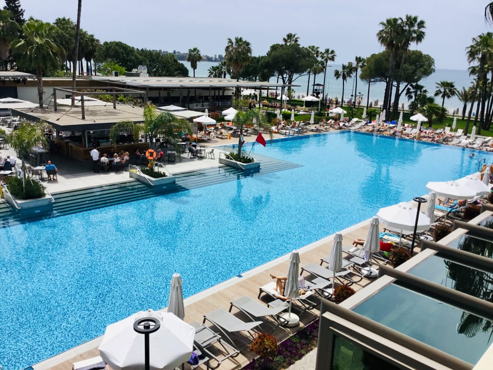 Pool Acanthus Cennet Barut Collection