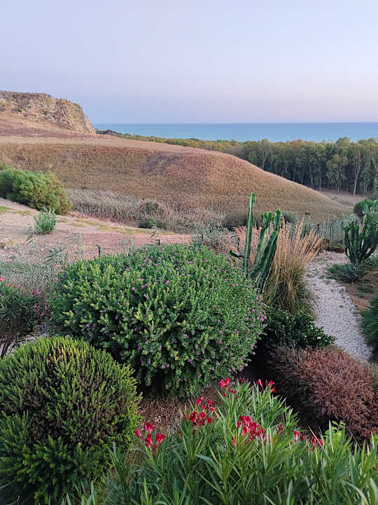 Ausblick Luna Minoica Suites and Apartments