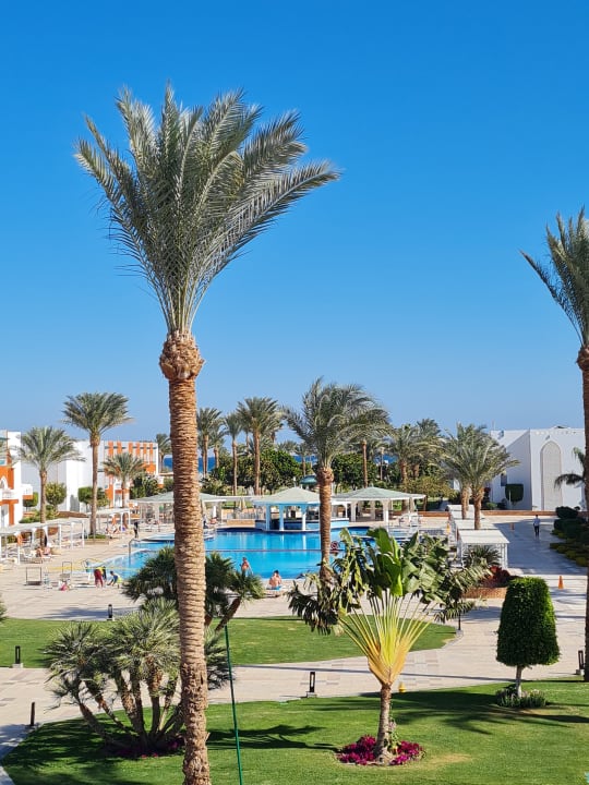 Gartenanlage Sunrise Garden Beach Resort Hurghada Holidaycheck Hurghada Safaga Gypten