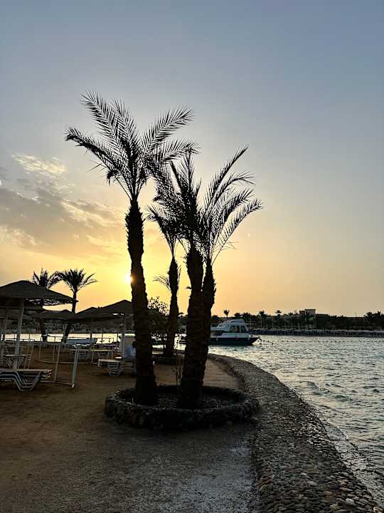 Strand JAZ Elite Casa del Mar Beach