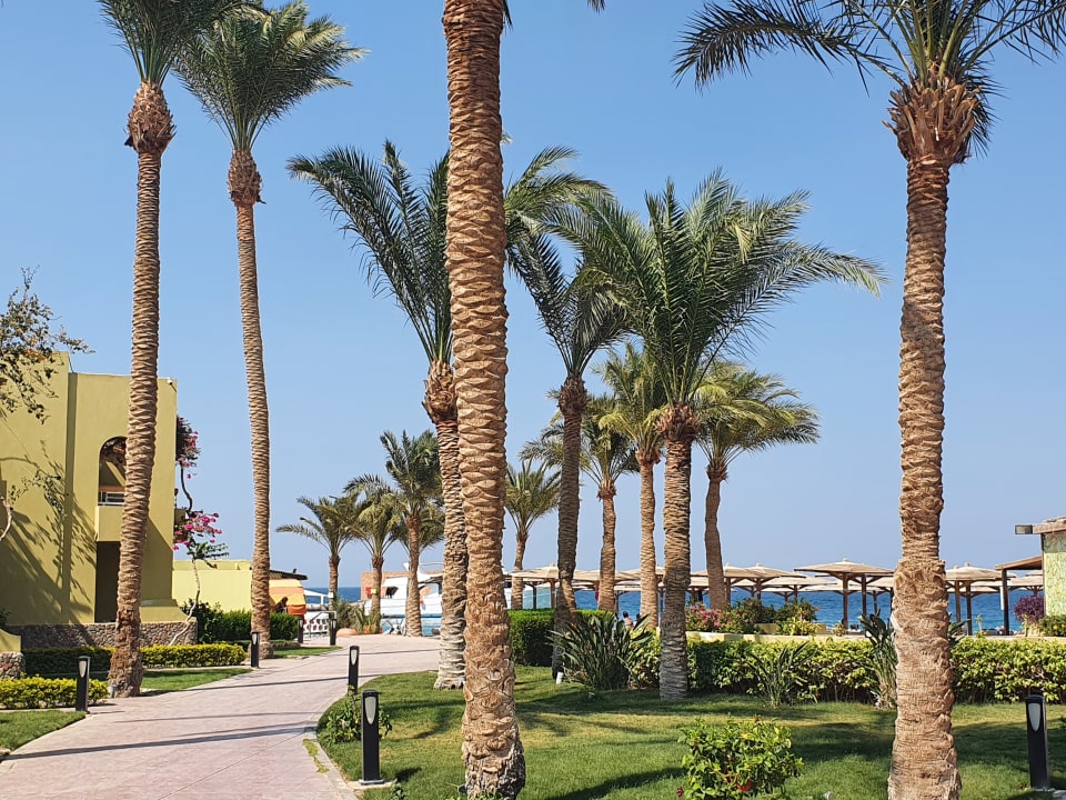 Gartenanlage Palm Beach Resort