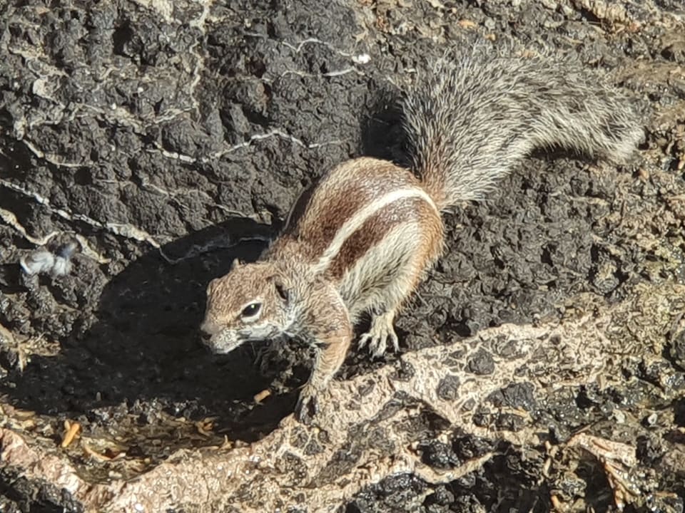 Strand SBH Costa Calma Beach Resort