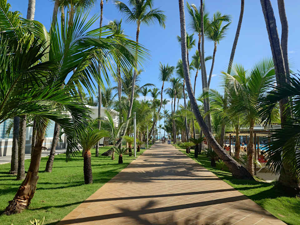 Gartenanlage Hotel Riu Bambu