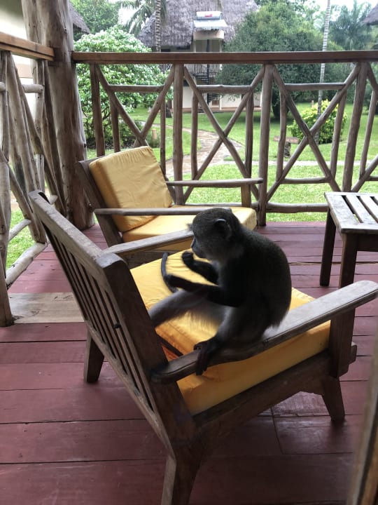 Sonstiges Neptune Palm Beach Boutique Resort & Spa