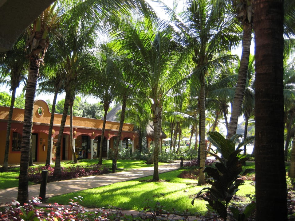 Shoppingmale Catalonia Playa Maroma