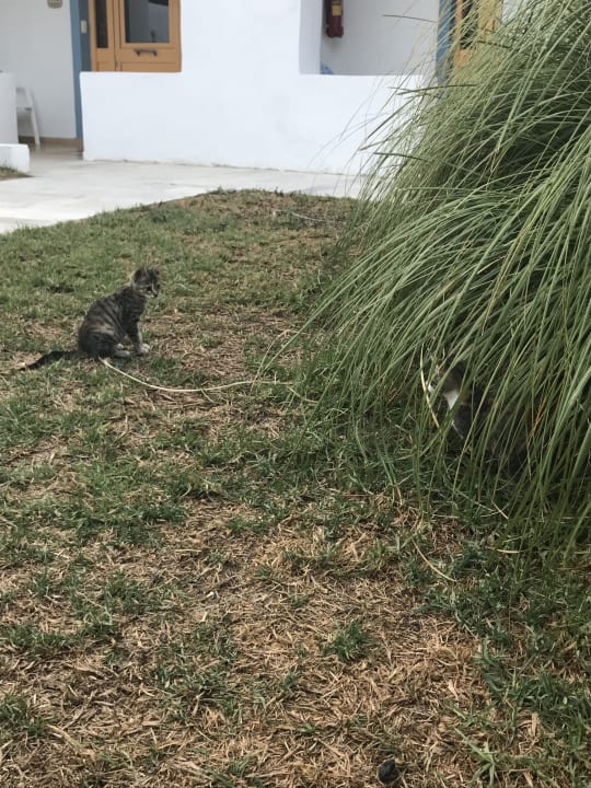 Sonstiges Lagas Aegean Village