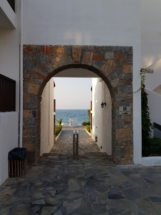 Ausblick Alexander Beach Hotel & Village Resort