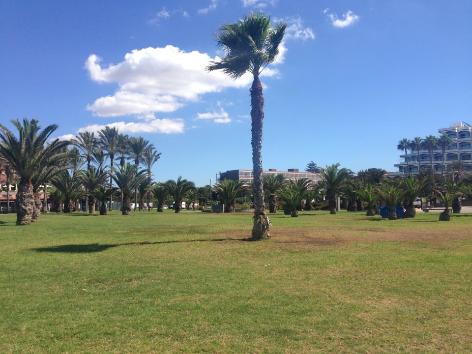 Paseo Hotel Riu Gran Canaria