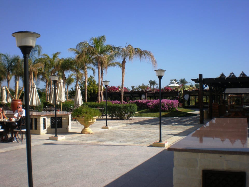 Na terenie hotelu Steigenberger ALDAU Beach Hotel