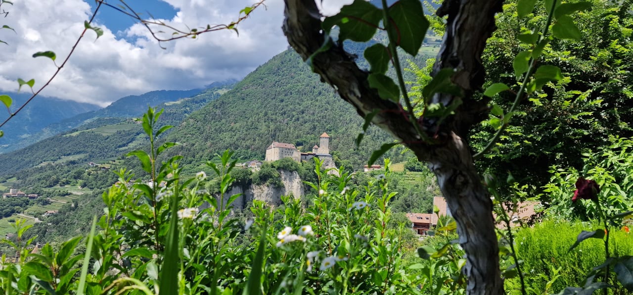 Ausblick Hotel Chalet Gravenstein