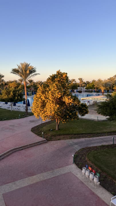 Ausblick Desert Rose