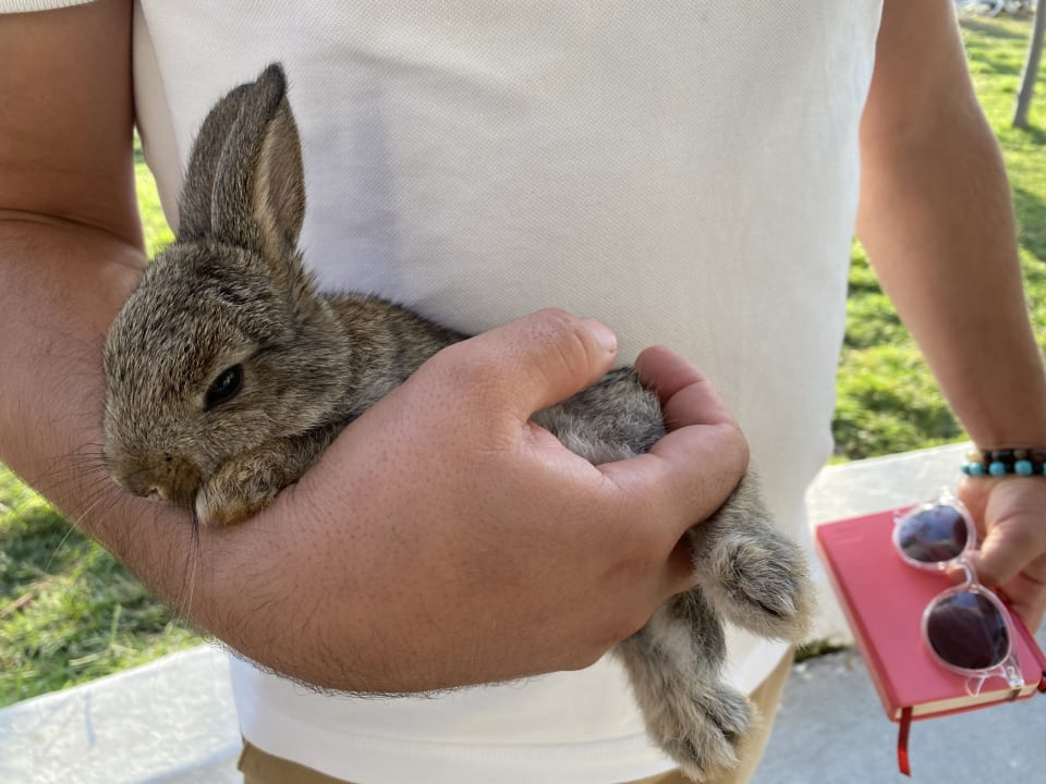 Gartenanlage Labranda Alantur Resort