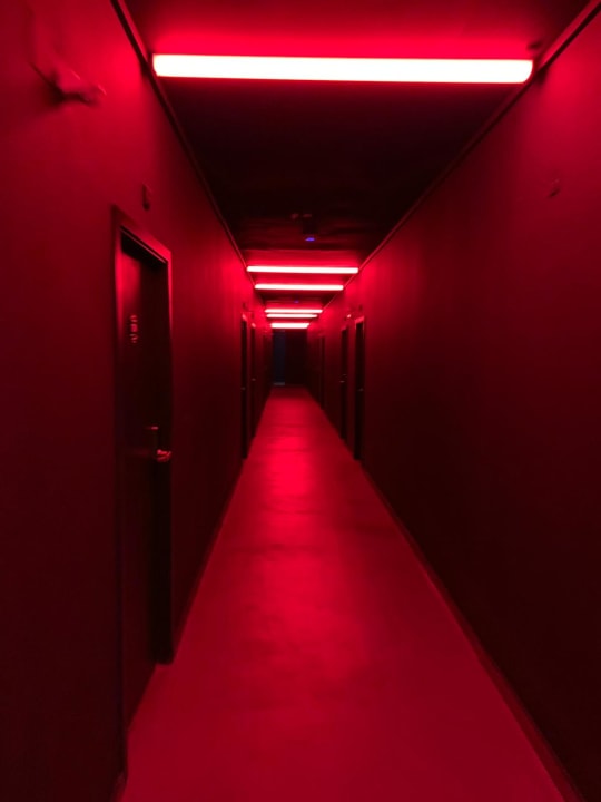 Sonstiges Cook's Club Sunny Beach