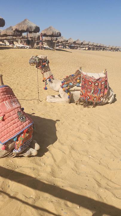 Strand Lazuli Hotel Marsa Alam
