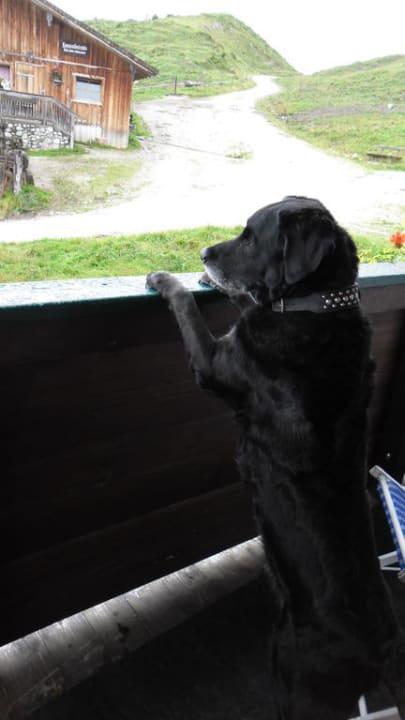 Balkonausblick Alpengasthof Hotel Kopphütte