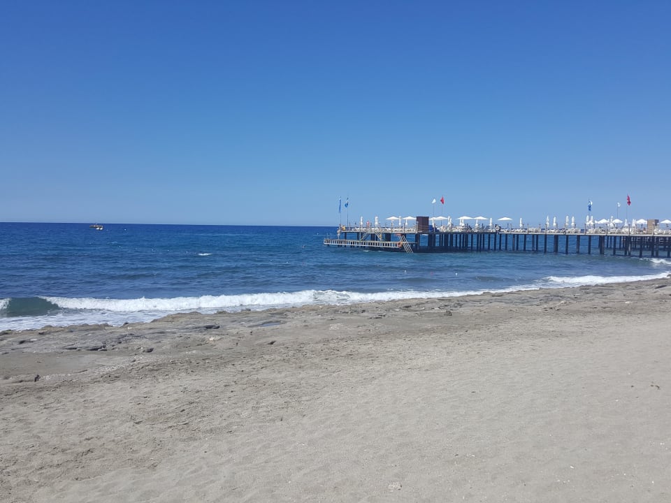 Strand Dizalya Palm Garden