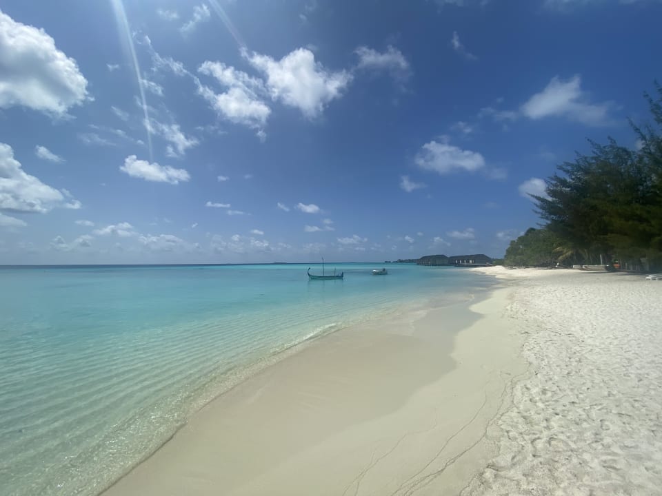 Strand Summer Island Maldives