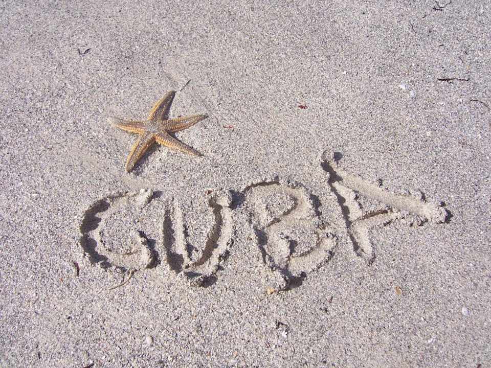 Uuups, ein Seestern! Muthu Playa Varadero