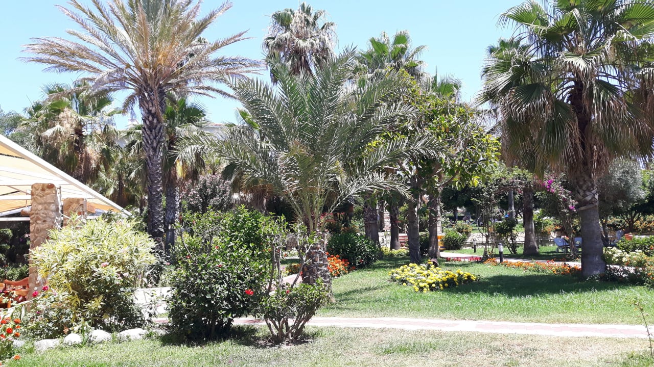 "Garten an der Strandbar" Hotel Defne Garden (Side