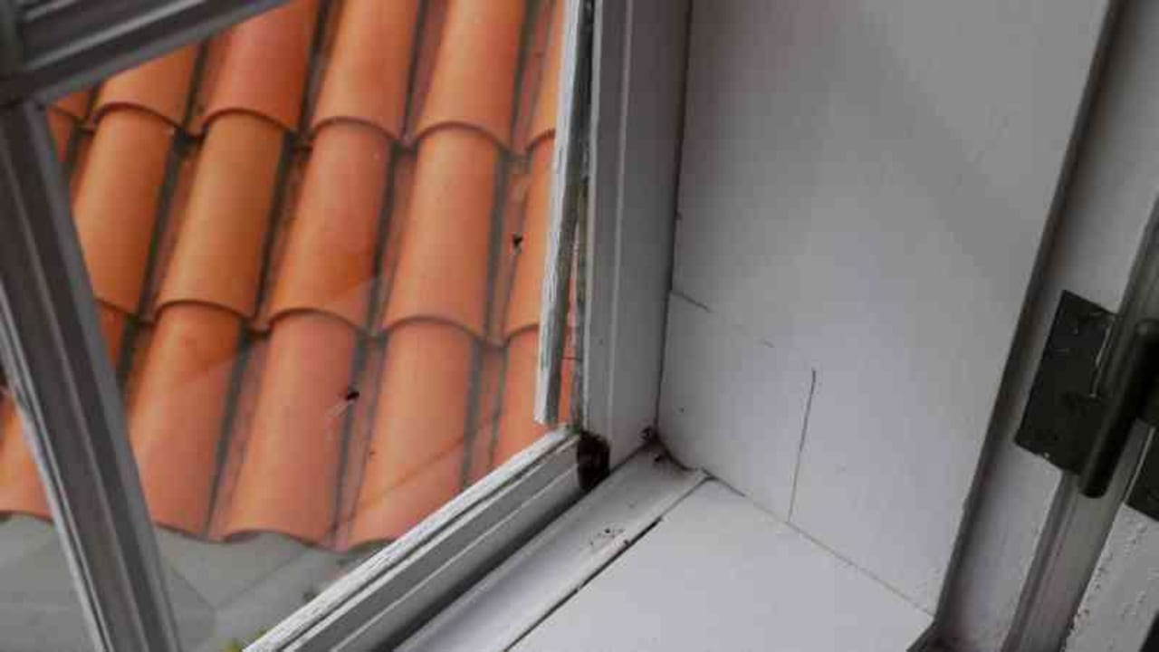 Fenster Finca La Brevera