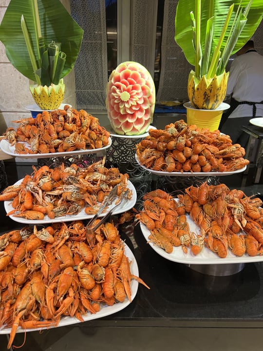 Gastro Papillon Ayscha