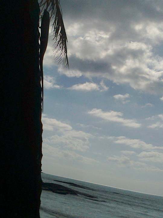 Leguan Khaolak Laguna Resort